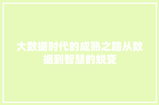 大数据时代的成熟之路从数据到智慧的蜕变 友链在线