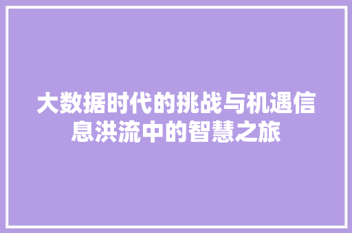 大数据时代的挑战与机遇信息洪流中的智慧之旅 建站教程