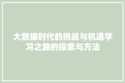大数据时代的挑战与机遇学习之路的探索与方法 SEO教程