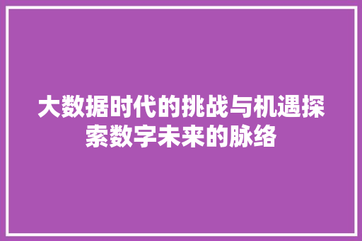 大数据时代的挑战与机遇探索数字未来的脉络 WordPress教程