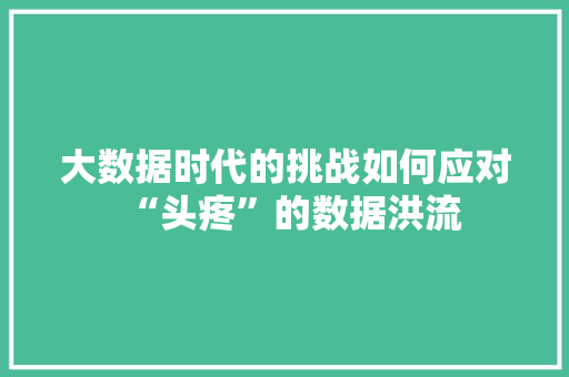 大数据时代的挑战如何应对“头疼”的数据洪流 Web前端