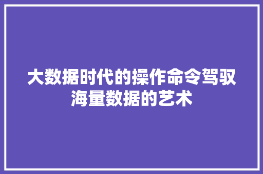 大数据时代的操作命令驾驭海量数据的艺术