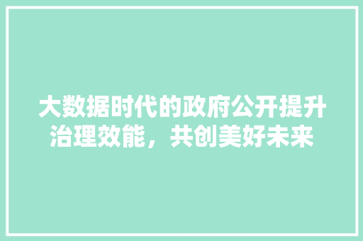 大数据时代的政府公开提升治理效能，共创美好未来