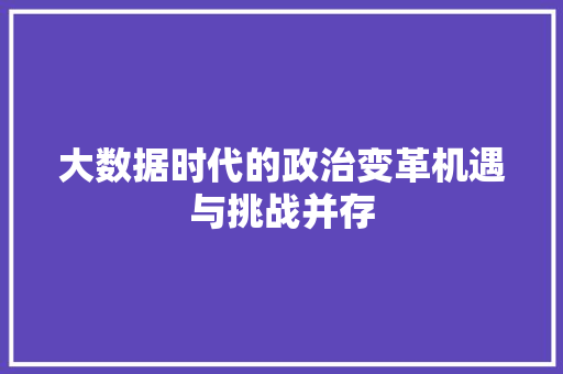 大数据时代的政治变革机遇与挑战并存