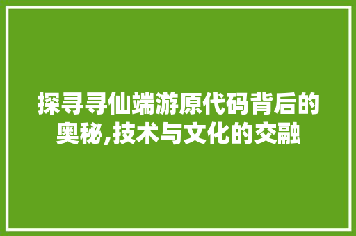 探寻寻仙端游原代码背后的奥秘,技术与文化的交融