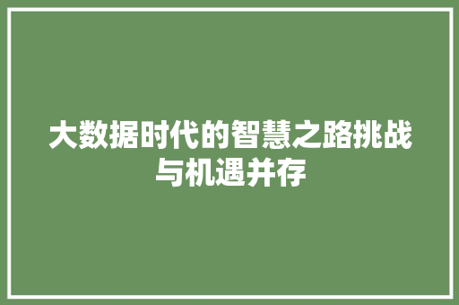 大数据时代的智慧之路挑战与机遇并存