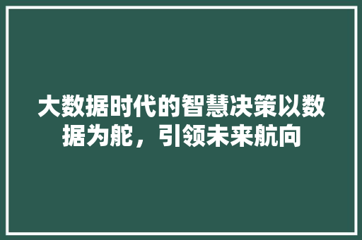 大数据时代的智慧决策以数据为舵，引领未来航向