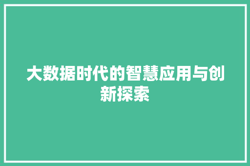 大数据时代的智慧应用与创新探索