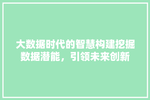 大数据时代的智慧构建挖掘数据潜能，引领未来创新