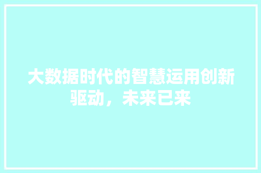 大数据时代的智慧运用创新驱动，未来已来 友链在线