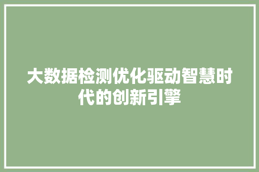 大数据检测优化驱动智慧时代的创新引擎