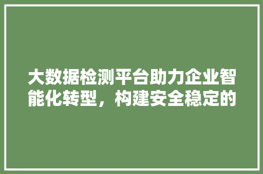大数据检测平台助力企业智能化转型，构建安全稳定的数据生态
