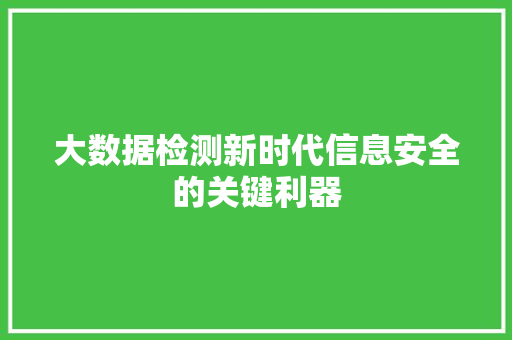 大数据检测新时代信息安全的关键利器
