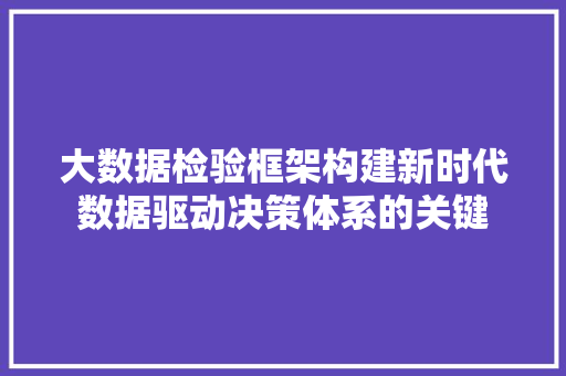 大数据检验框架构建新时代数据驱动决策体系的关键