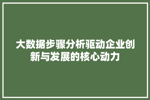 大数据步骤分析驱动企业创新与发展的核心动力