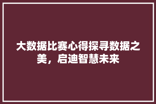 大数据比赛心得探寻数据之美，启迪智慧未来