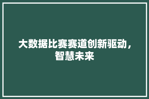 大数据比赛赛道创新驱动，智慧未来