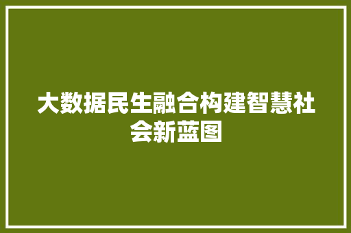 大数据民生融合构建智慧社会新蓝图