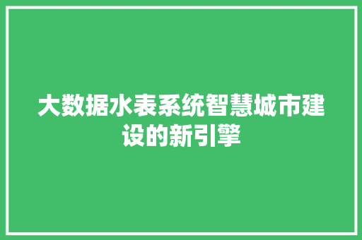 大数据水表系统智慧城市建设的新引擎