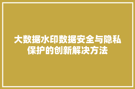 大数据水印数据安全与隐私保护的创新解决方法