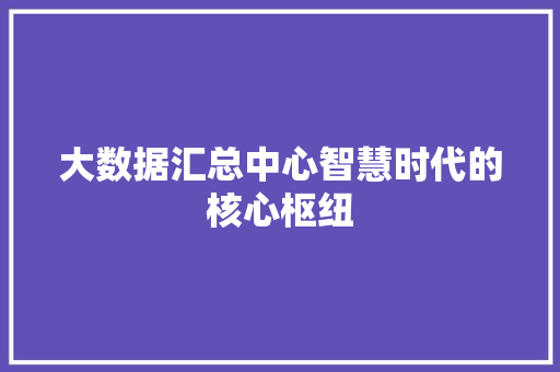 大数据汇总中心智慧时代的核心枢纽