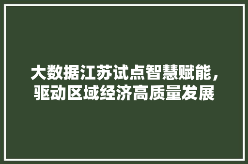 大数据江苏试点智慧赋能，驱动区域经济高质量发展