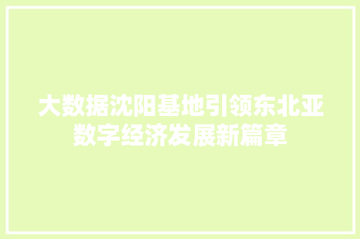 大数据沈阳基地引领东北亚数字经济发展新篇章