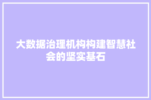 大数据治理机构构建智慧社会的坚实基石