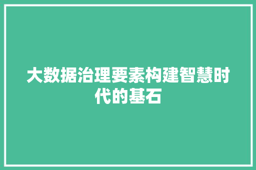 大数据治理要素构建智慧时代的基石