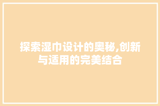 探索湿巾设计的奥秘,创新与适用的完美结合