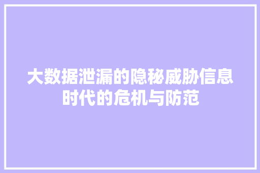 大数据泄漏的隐秘威胁信息时代的危机与防范