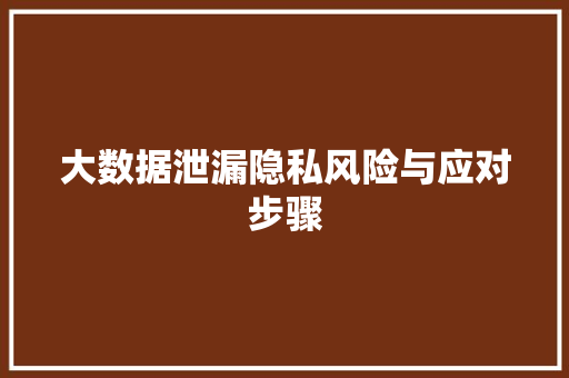 大数据泄漏隐私风险与应对步骤