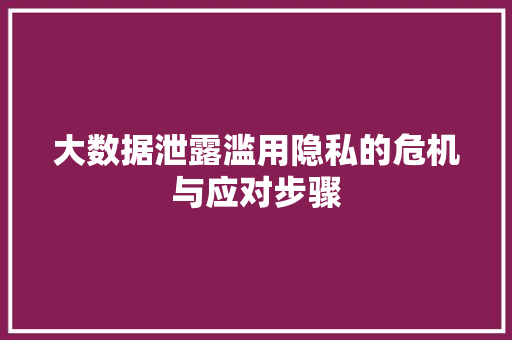 大数据泄露滥用隐私的危机与应对步骤