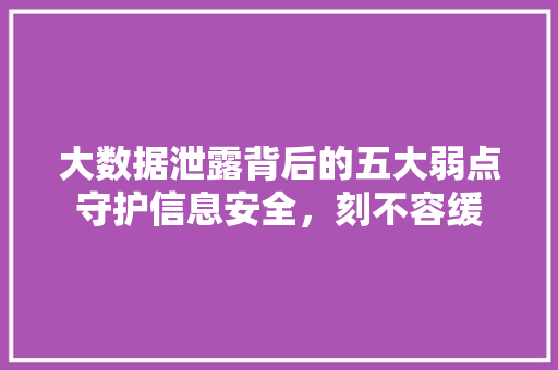 大数据泄露背后的五大弱点守护信息安全，刻不容缓