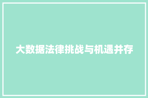 大数据法律挑战与机遇并存