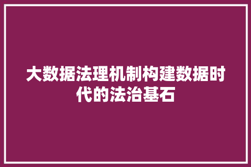 大数据法理机制构建数据时代的法治基石