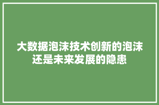 大数据泡沫技术创新的泡沫还是未来发展的隐患