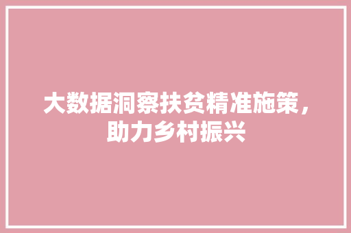 大数据洞察扶贫精准施策，助力乡村振兴