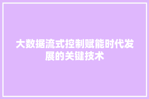 大数据流式控制赋能时代发展的关键技术