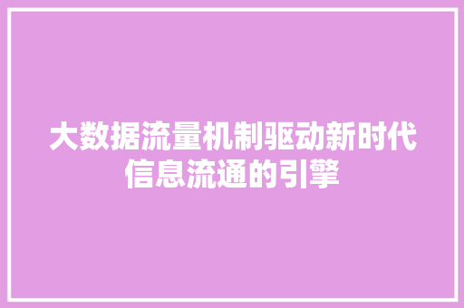 大数据流量机制驱动新时代信息流通的引擎