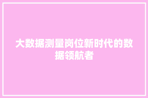 大数据测量岗位新时代的数据领航者