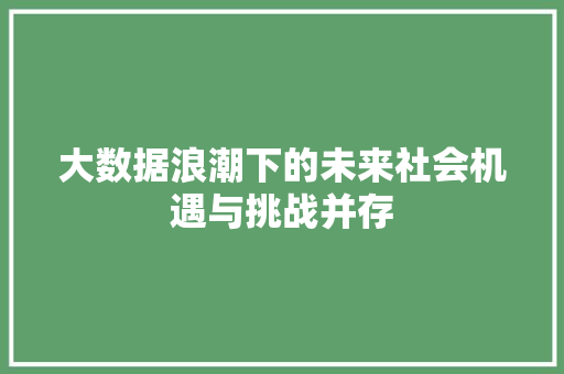 大数据浪潮下的未来社会机遇与挑战并存