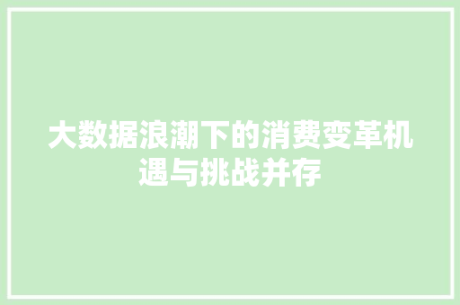 大数据浪潮下的消费变革机遇与挑战并存