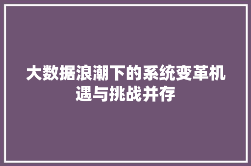 大数据浪潮下的系统变革机遇与挑战并存