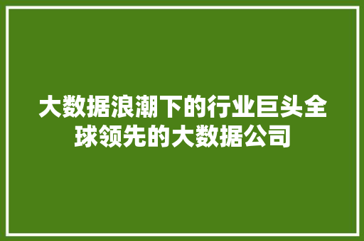 大数据浪潮下的行业巨头全球领先的大数据公司
