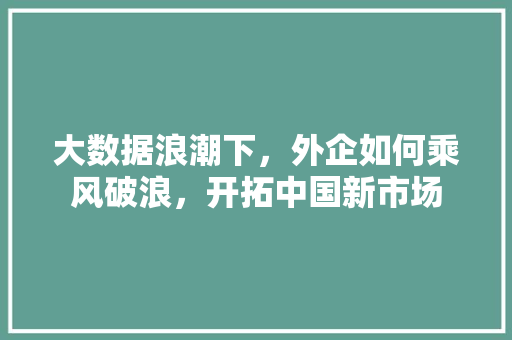 大数据浪潮下，外企如何乘风破浪，开拓中国新市场