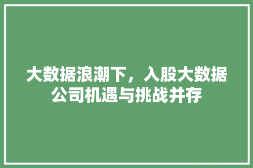 大数据浪潮下，入股大数据公司机遇与挑战并存
