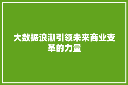 大数据浪潮引领未来商业变革的力量