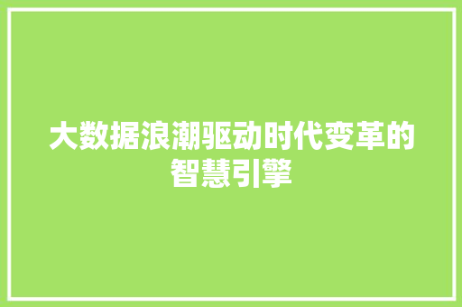 大数据浪潮驱动时代变革的智慧引擎