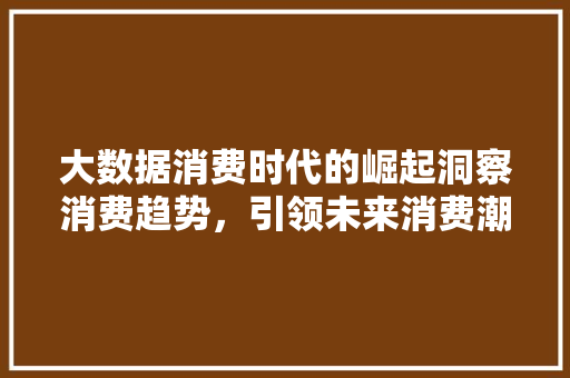 大数据消费时代的崛起洞察消费趋势，引领未来消费潮流